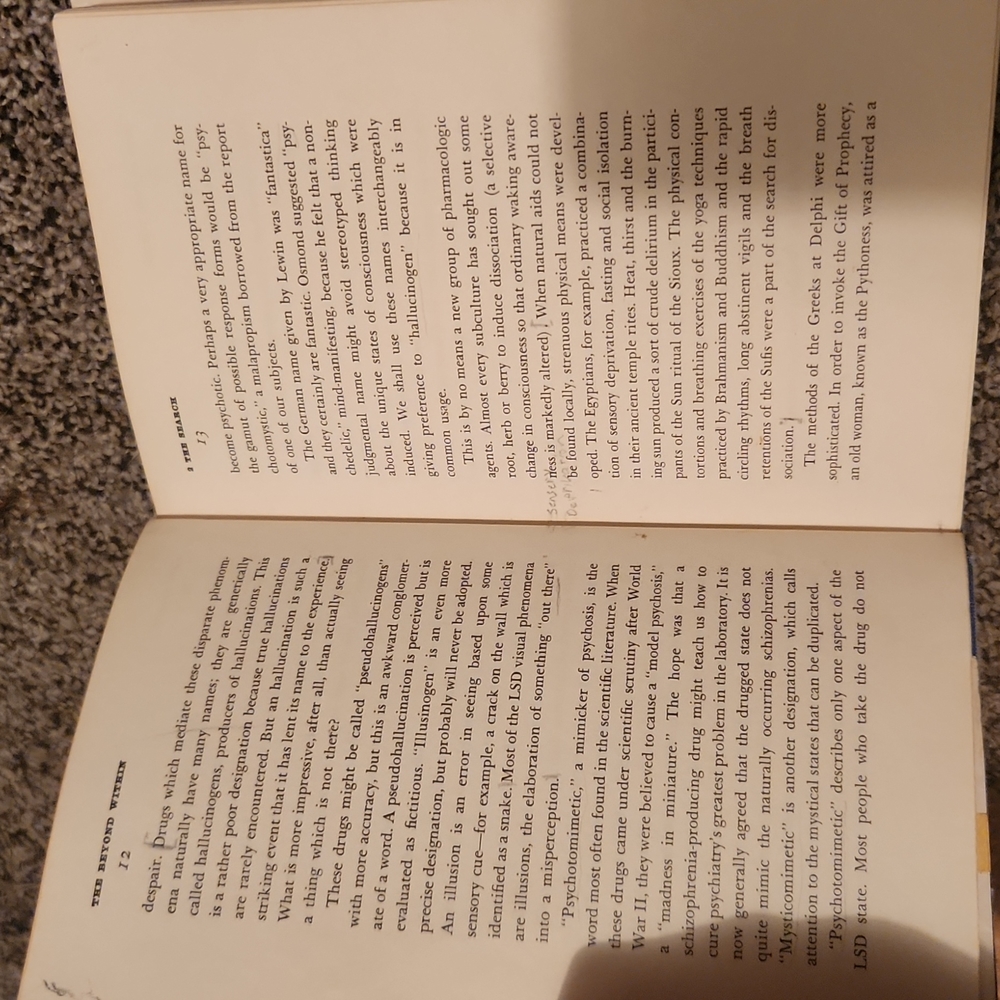 The Beyond Within The LSD Story - Picture 6 of 6